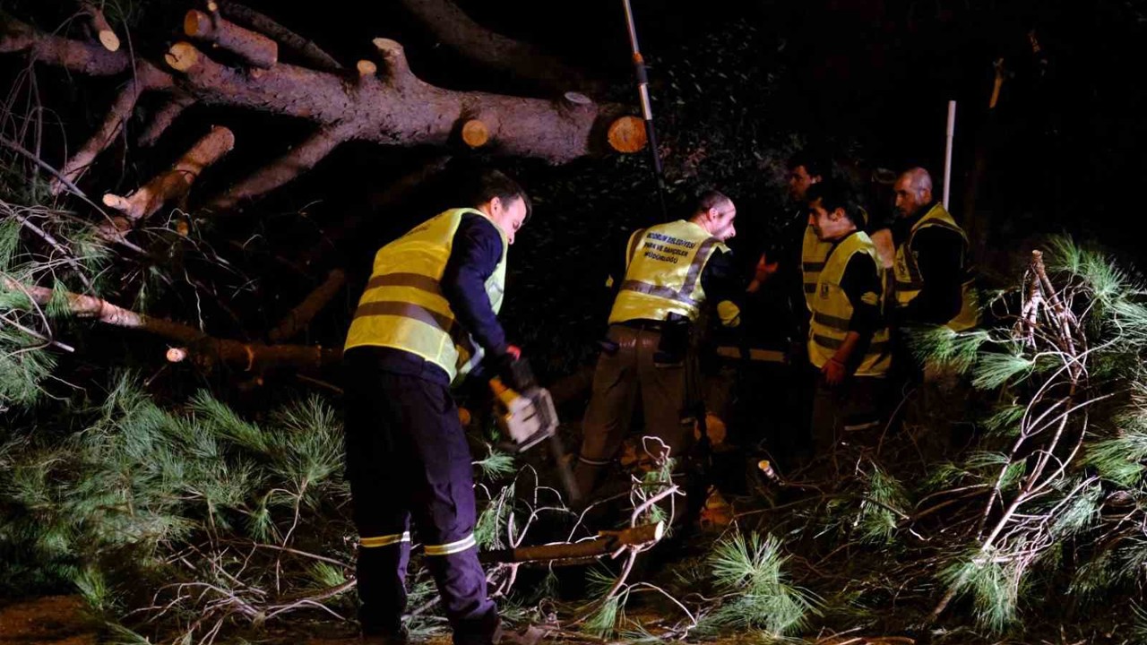 Bodrum Belediyesi fırtına dinlemedi
