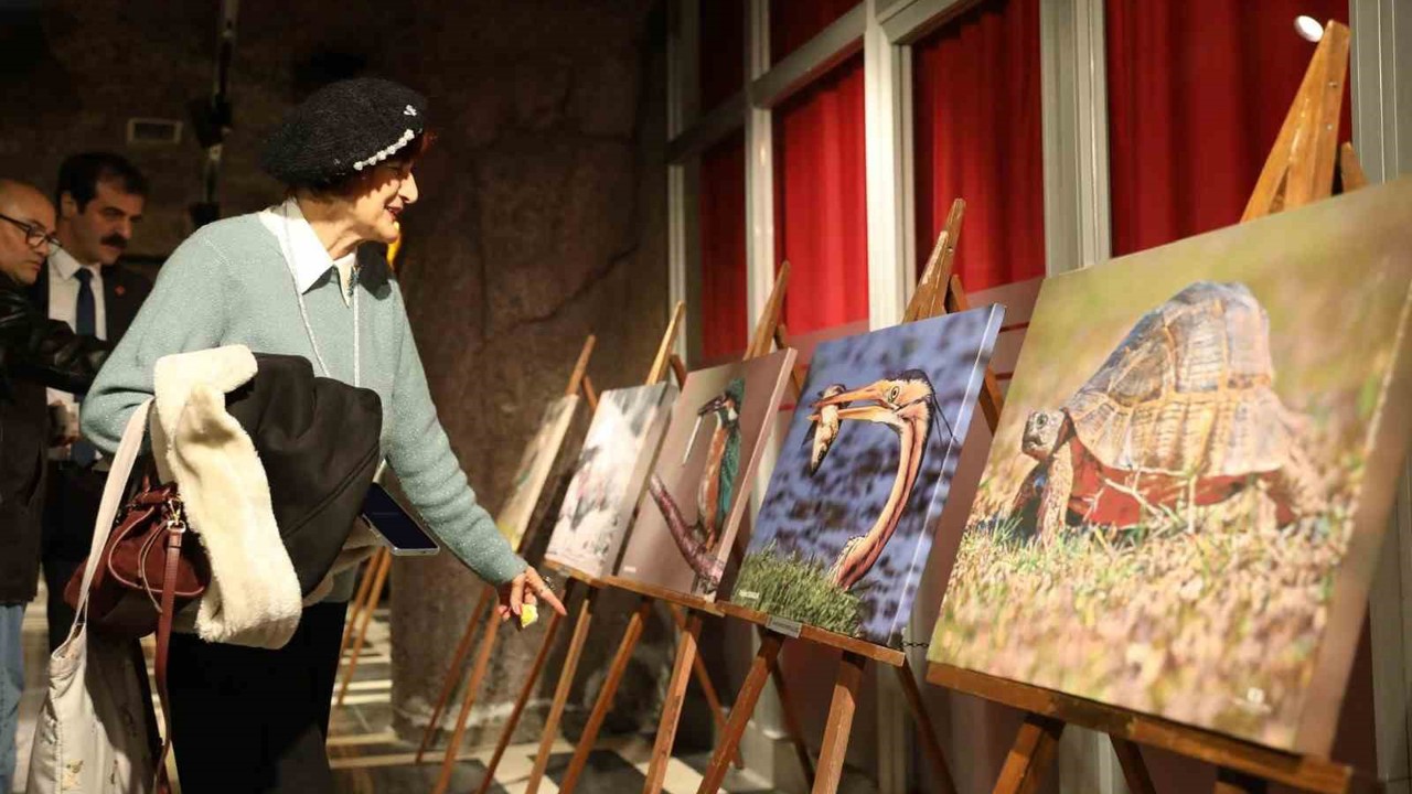 Kuş Cenneti’nden muhteşem kareler TBMM yolunda
