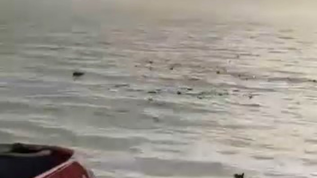 Denizi şehir çöplüğüne çevirdiler
