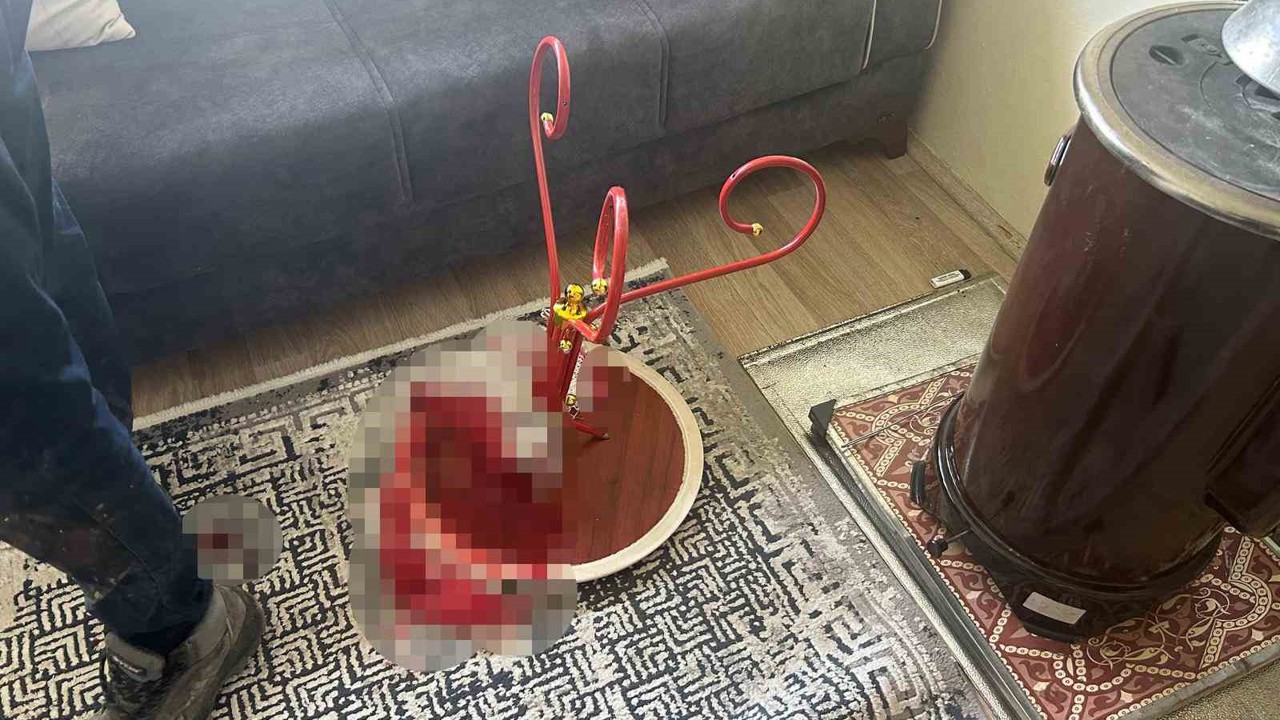 Şizofreni hastası olduğu iddia edilen şahıs, babasını bıçaklayarak öldürdü
