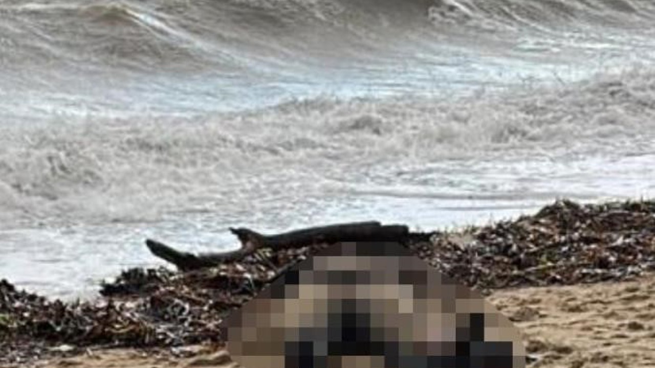 Kıyıya vuran kadın cesedi olayının sis perdesi aralanıyor
