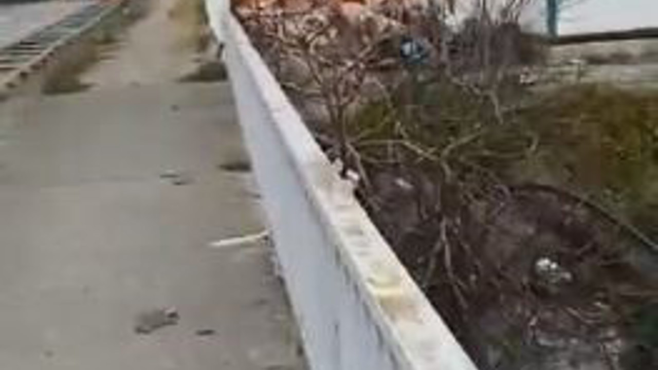 Hopa’da şantiyede çıkan yangın korkuttu
