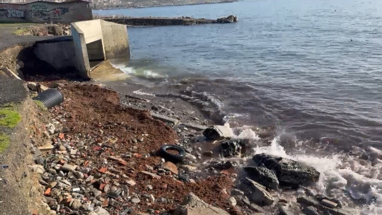 Marmara’daki fırtına Tekirdağ kıyılarını kızıl yosunla sürükledi
