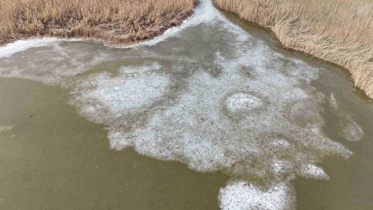Iğdır’da donan Karasu Sazlığı’nda buzlar eriyor
