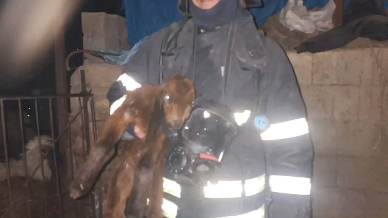 Hatay’da ahırda korkutan yangın
