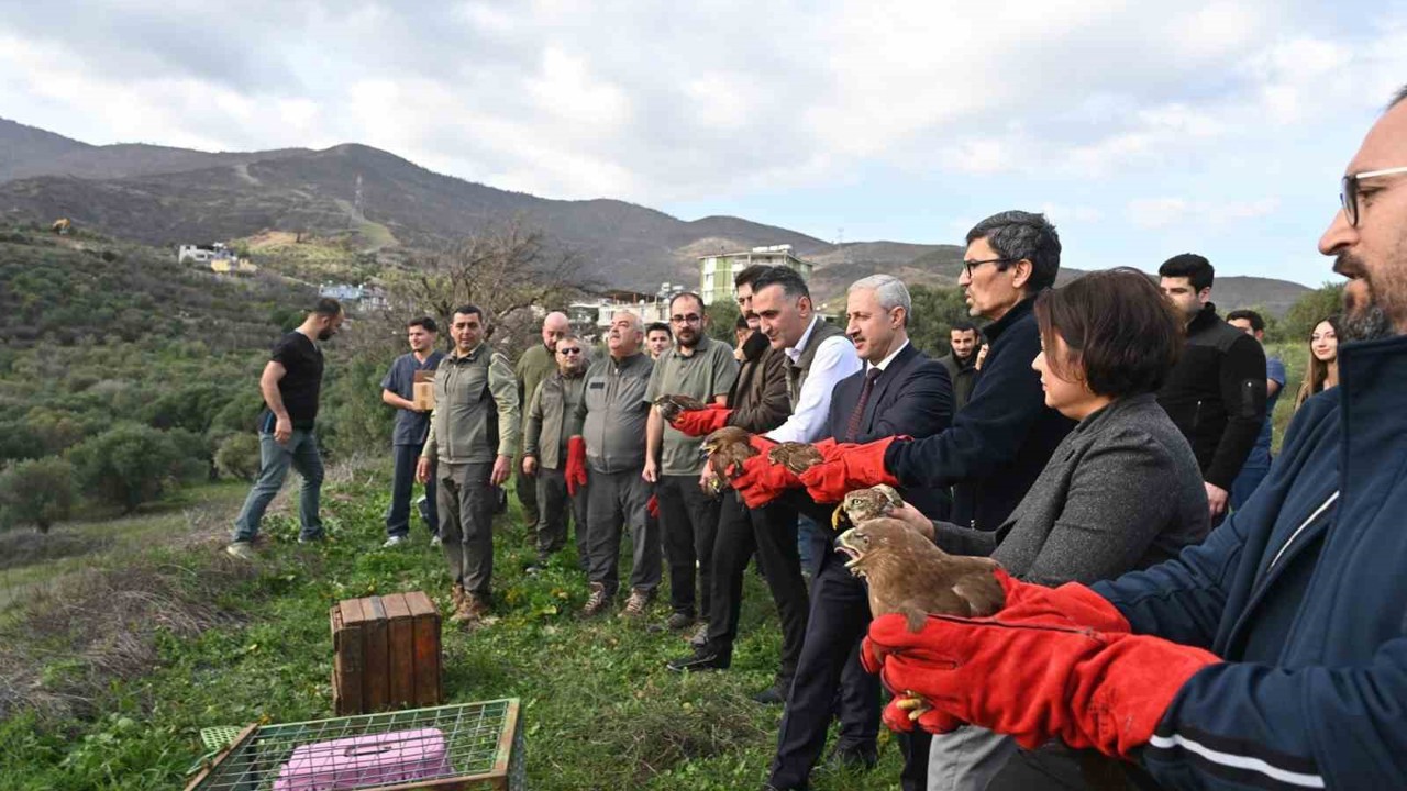 Tedavisi tamamlanan yırtıcı kuşlar özgürlüğe kanat çırptılar
