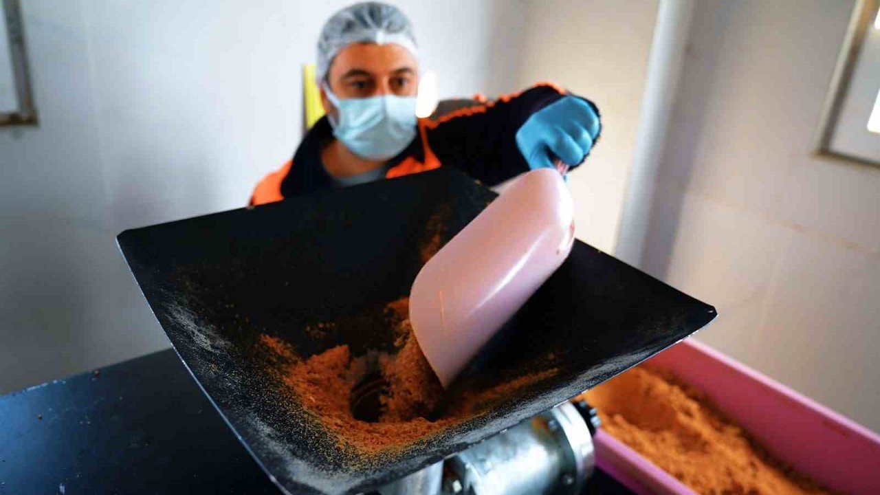 Didim Belediyesi can dostlar için mama üretiminde kapasiteyi artırdı
