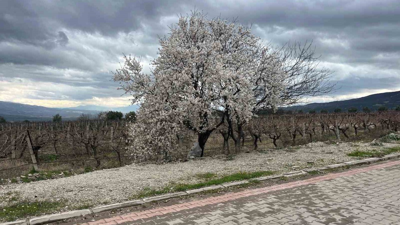 Bahar renkleriyle geliyor
