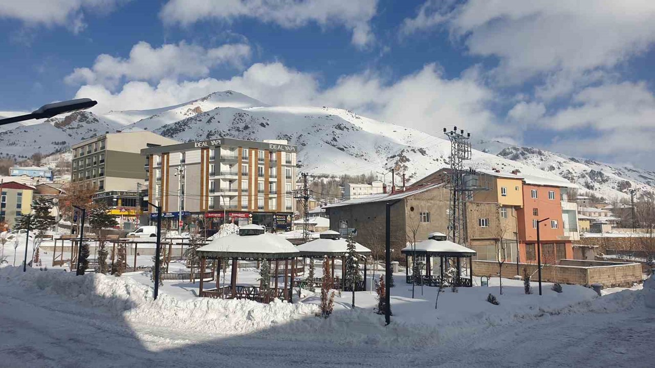 Başkale’de kar yağışı
