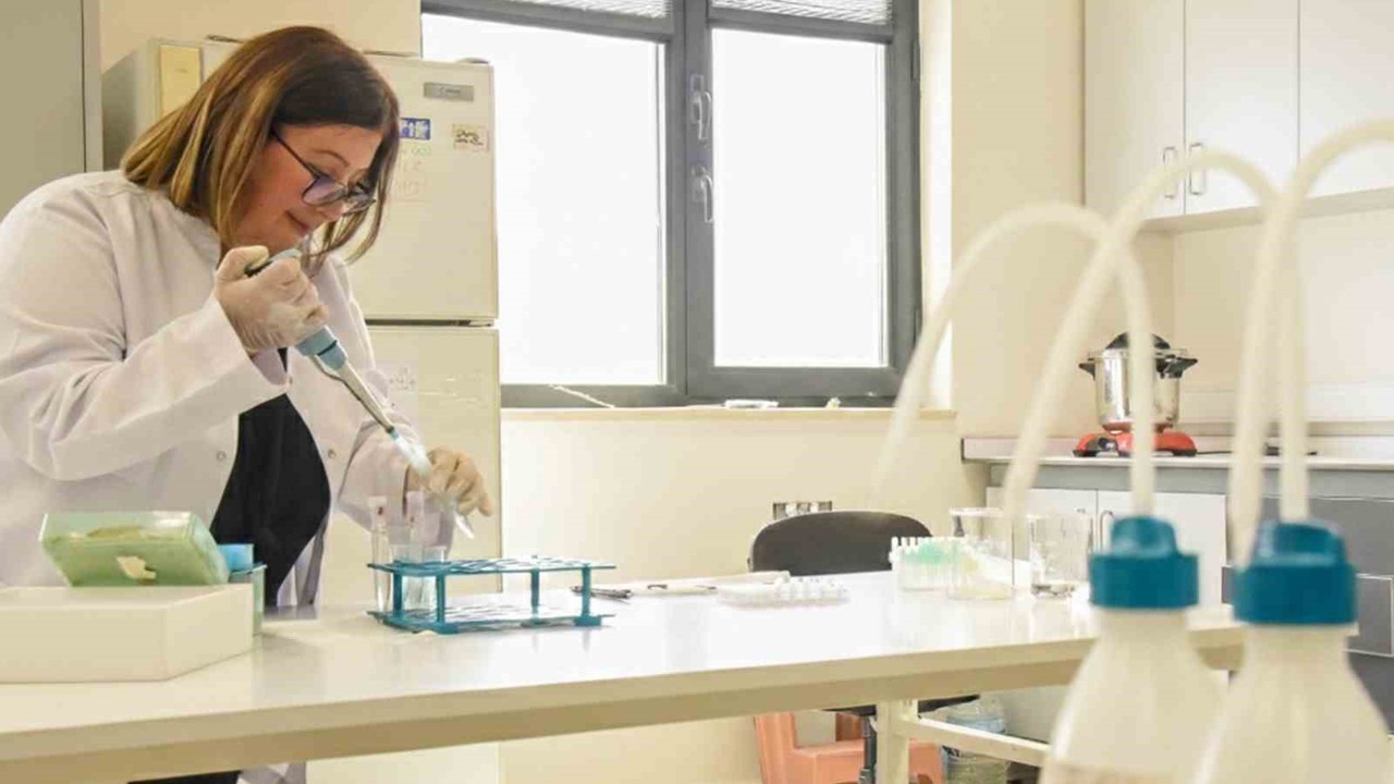 BŞEÜ’den dünyanın en saygın dergilerinden Food Chemıstry’de bir yayın daha
