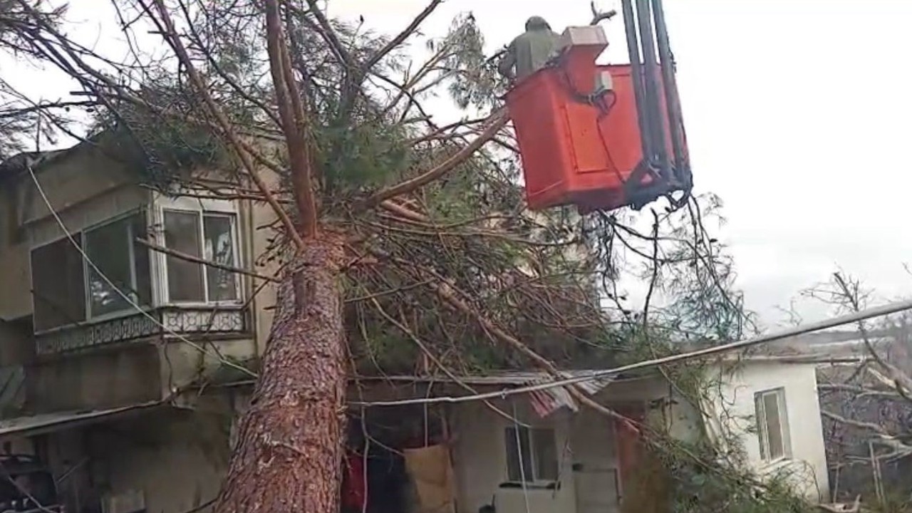 Mersin’de fırtına etkili oluyor: Ağaç evin üzerine devrildi
