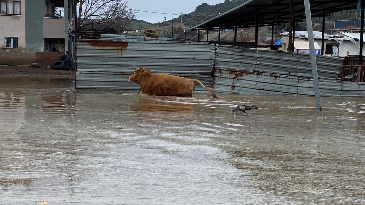 Şiddetli yağışlar Kula’da taşkınlara yol açtı
