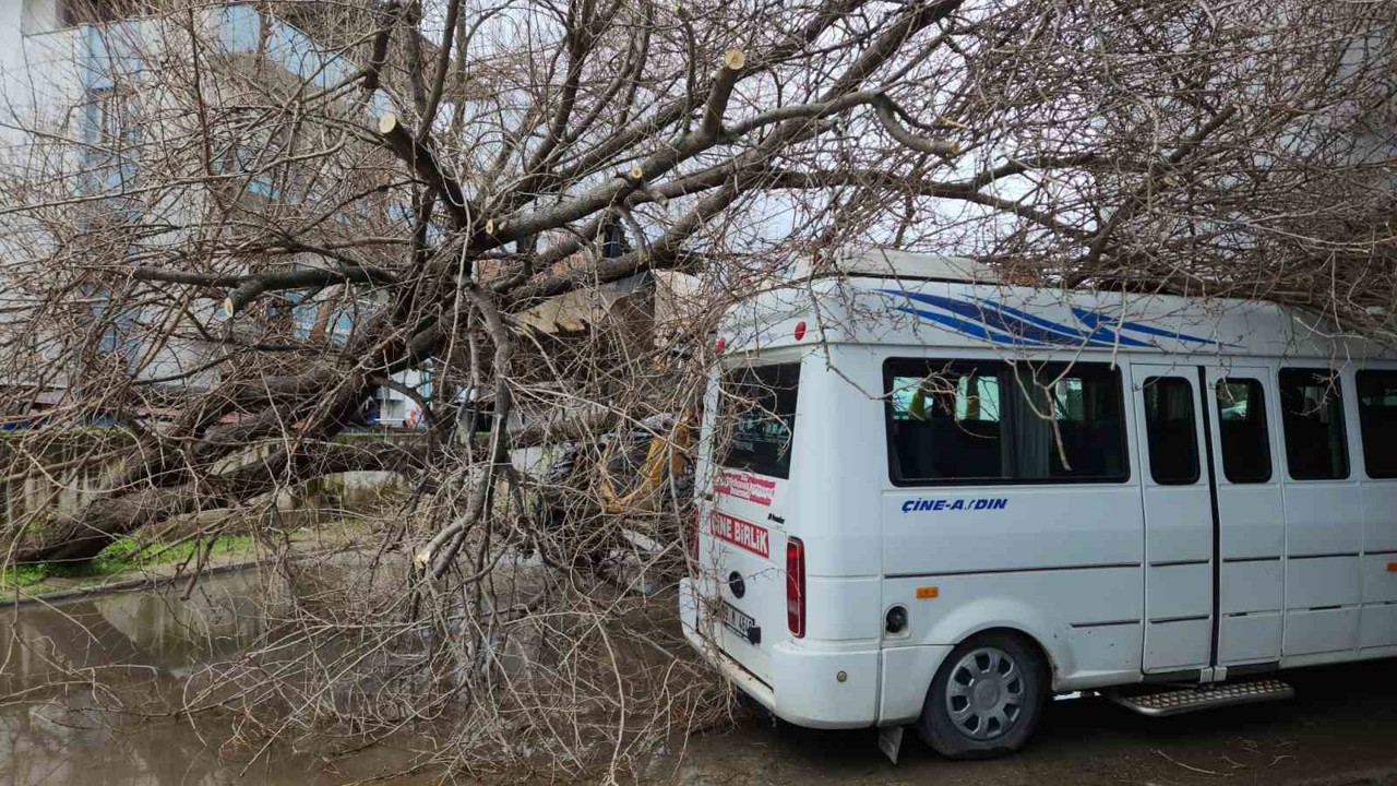 Çine’de dut ağacı minibüsün üstüne devrildi
