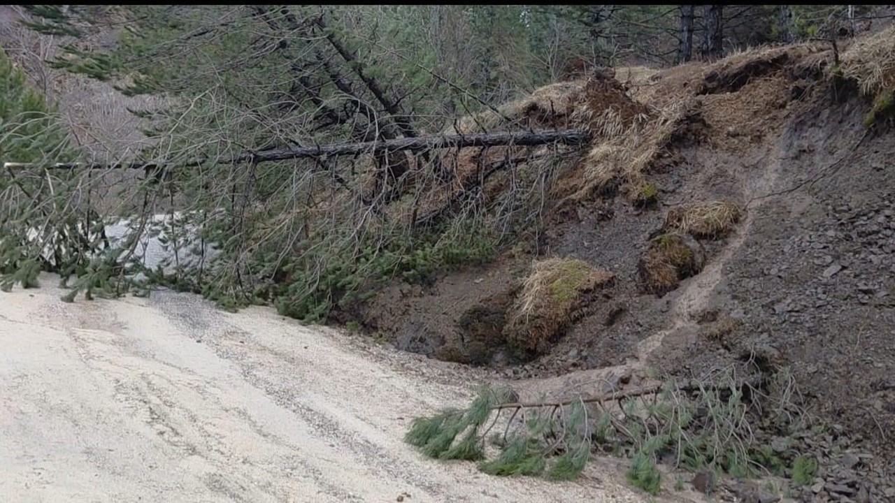 Amasya’da ormanlık alanda heyelan: Ağaçlar devrildi

