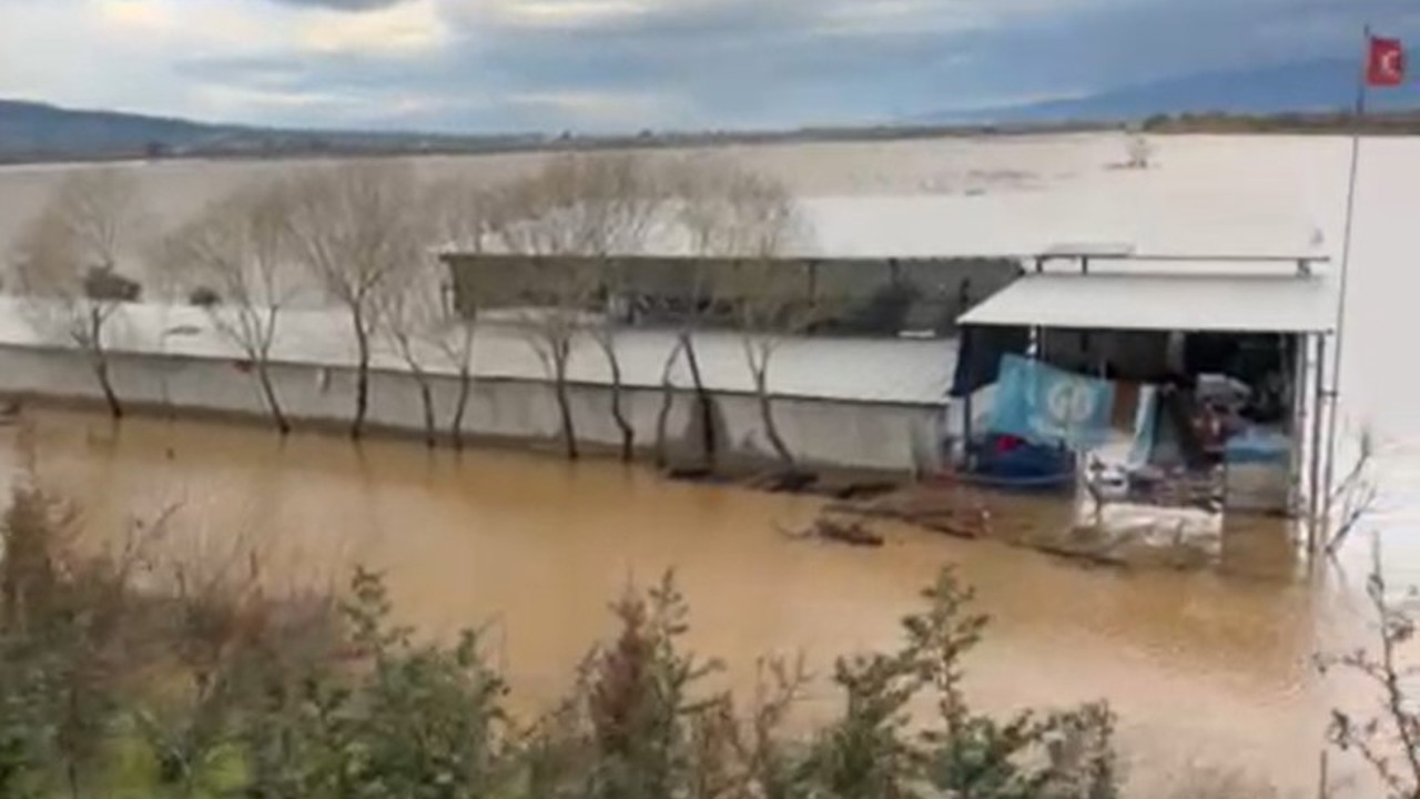 Sel sularının ortasındaki depoda mahsur kalan köpekler yürek burktu
