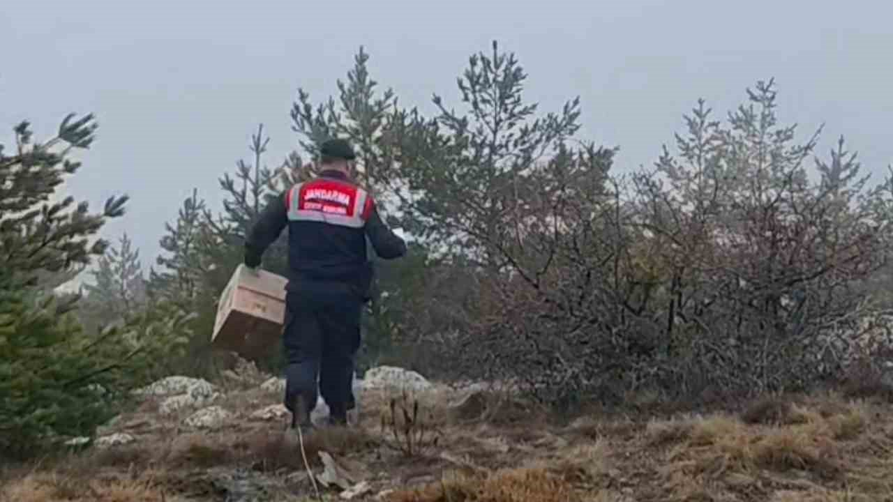 HAYDİ ekipleri doğadaki canlıları unutmadı
