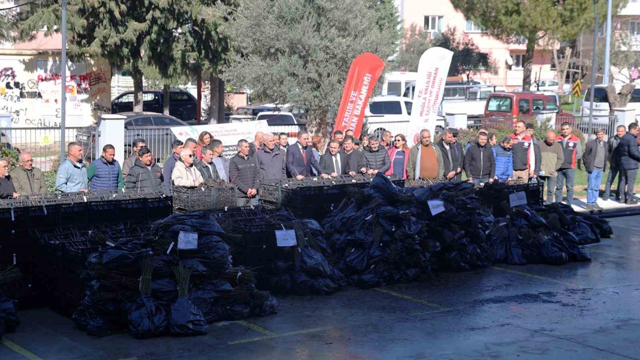 50 bin adet üzümsü fidan dağıtıldı
