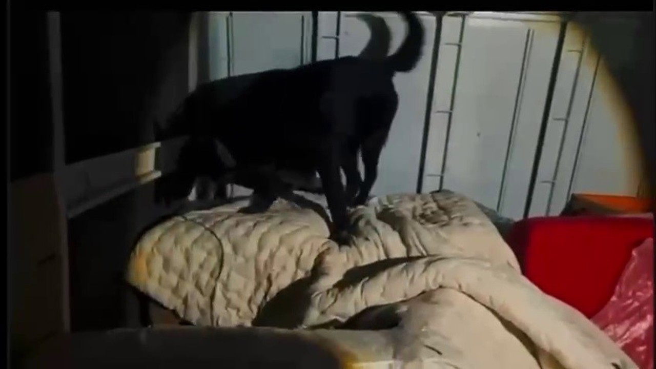 Kamyonet kasasında battaniyeyle saklanan 11 kilo 200 gram uyuşturucu yakalandı
