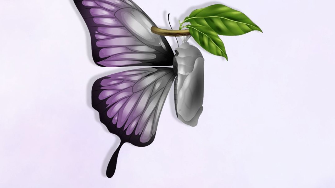 Didim Belediyesi’nden Ergenlik ve İlk Gençlikte Kadın Sağlığı Eğitimi
