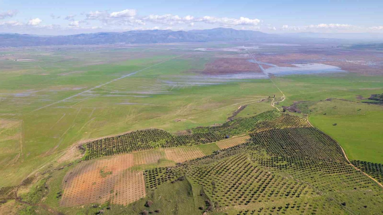 Kuruyan Marmara Gölünde umutlandıran görüntü
