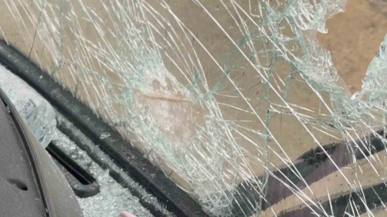 Başkan terörist benzetmesi yapmıştı, o şüpheliler yakalandı
