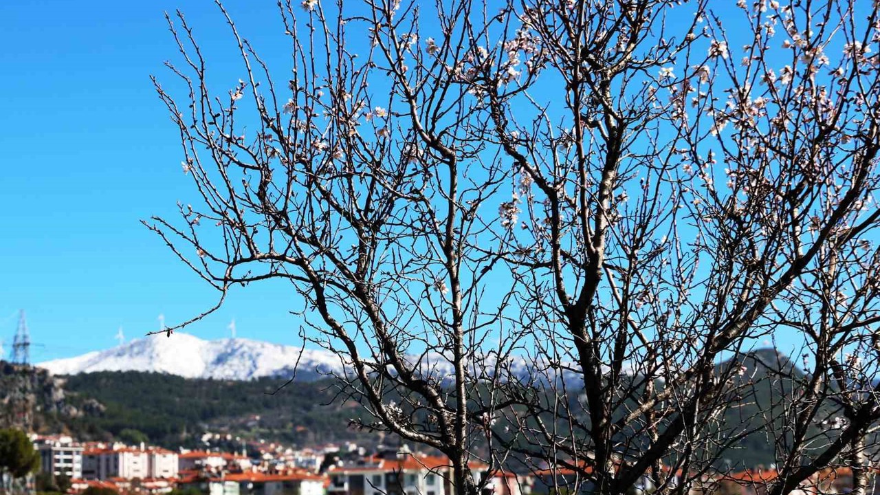 Muğla’da kış ve bahar aynı karede
