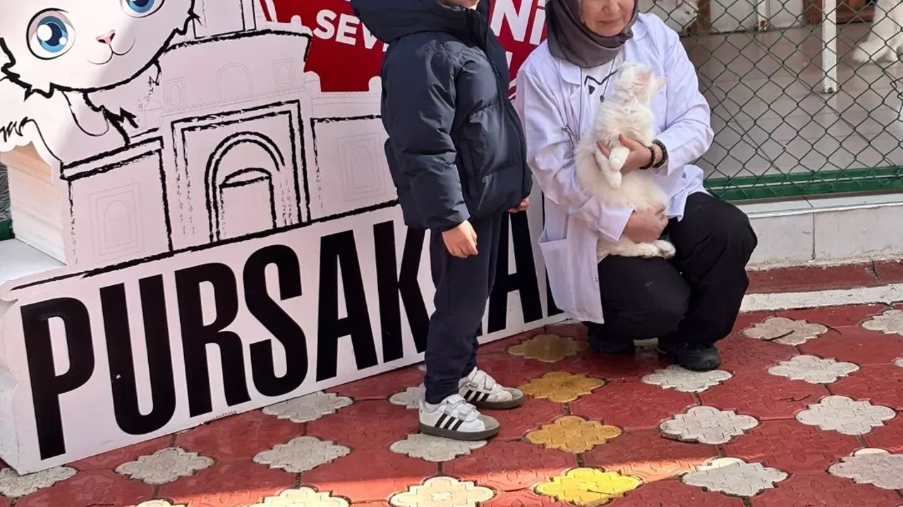 Pursaklar’da öğrencilerden kedi evine ziyaret
