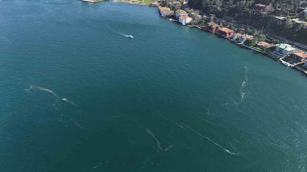 Boğaz’da alarm veren görüntü: Kirlilik denizanasını yüzeye çıkardı
