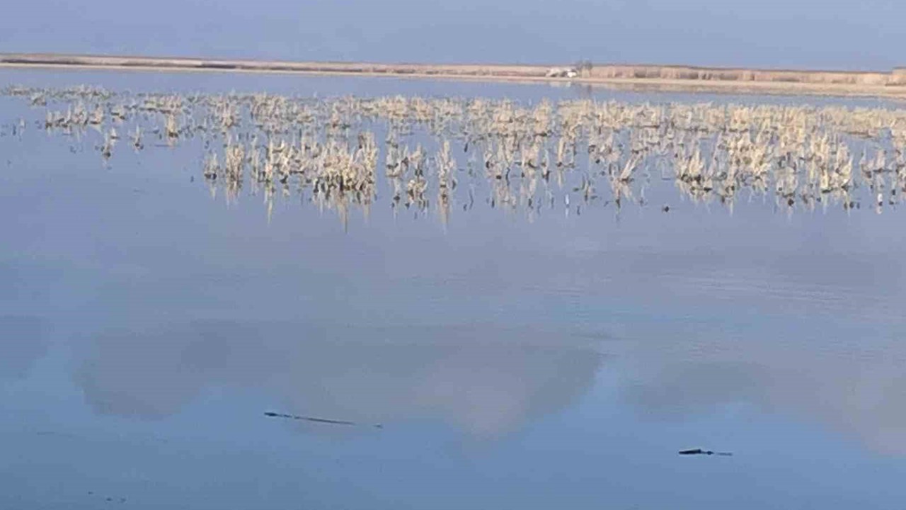 Her damlanın Eber Gölü’ne ulaşması için topyekun mücadele

