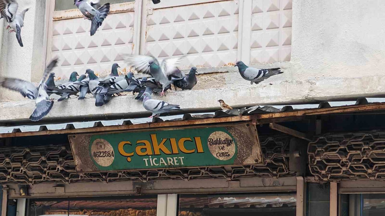 Balkonunu kuşlara sofra yaptı: Demircili esnaftan örnek davranış
