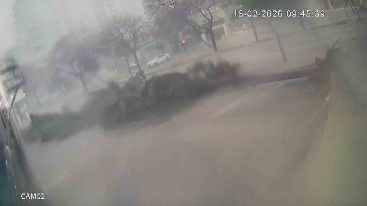 Fırtına dev ağaçları kökünden söktü, o anlar kameraya yansıdı
