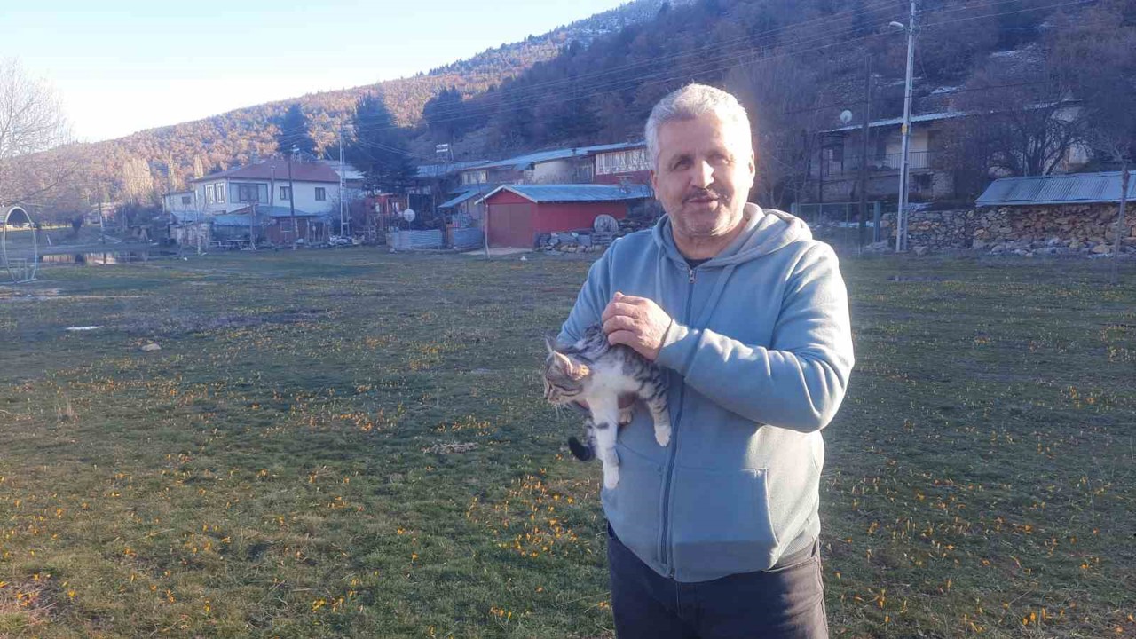Konya’da aç kalan kediler için 30 kilometre yol gitti
