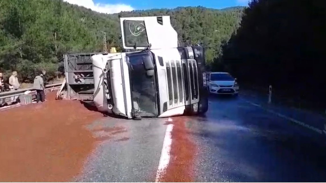 Peyzaj malzemesi yüklü tır devrildi

