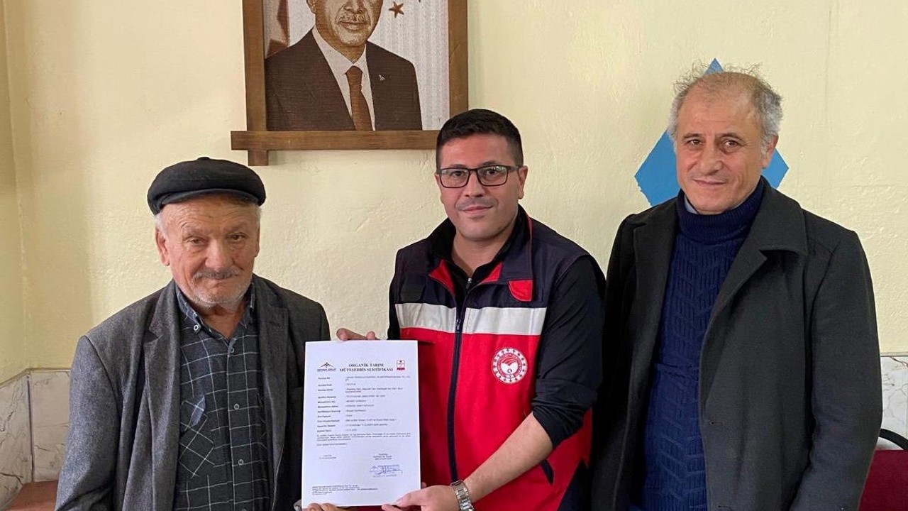 Göncek kavunu organik tarım kapsamına alındı
