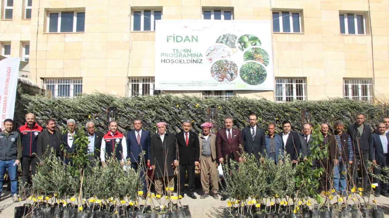 Şırnak’ta 25 bin 200 fidan toprakla buluştu: 810 dekar meyve bahçesi oluyor
