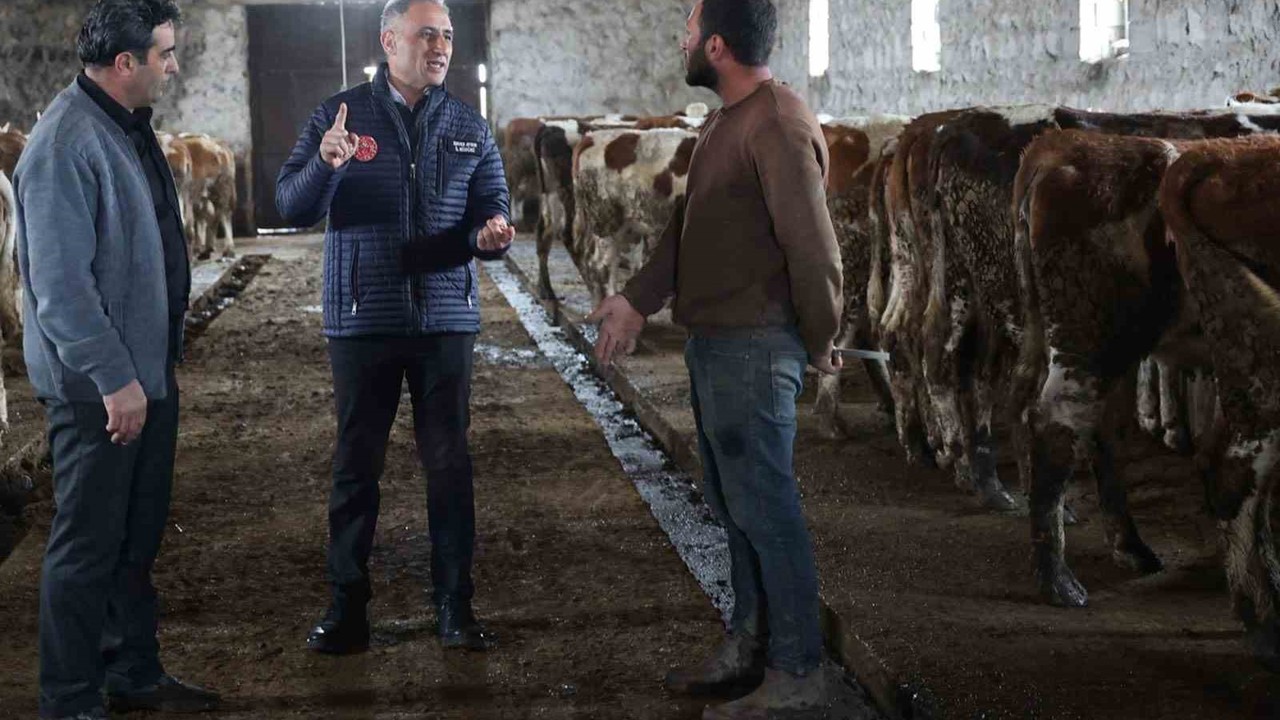 Kars Tarım ve Orman Müdürlüğü sahada: Bayraktar Köyü’nde büyükbaş işletmesine ziyaret
