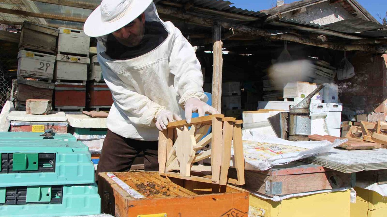 Bu seçimde kazananı ’arılar’ belirleyecek
