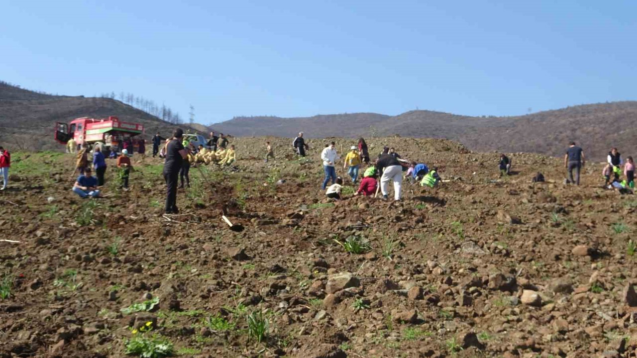 Hatay’da orman yangınından zarar gören alanlarda 5 bin fidan toprakla buluşturuldu

