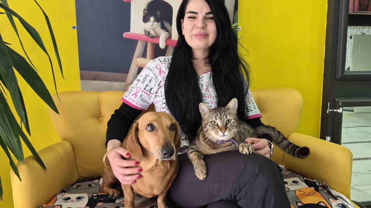 Veteriner kliniğindeki kedi ve köpek arasındaki ilginç dostluk
