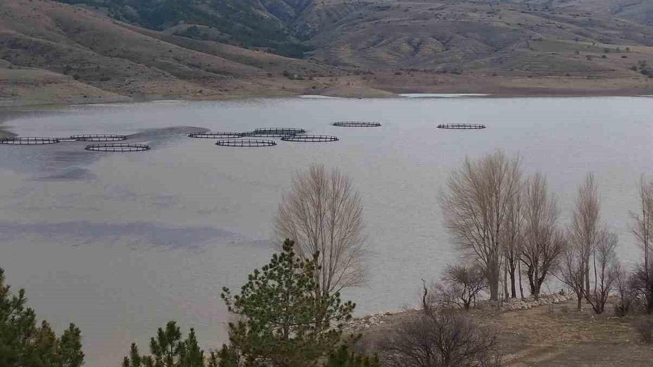 Kurumaya yüz tutan barajda doluluk oranı yüzde 50 seviyelerine yaklaştı
