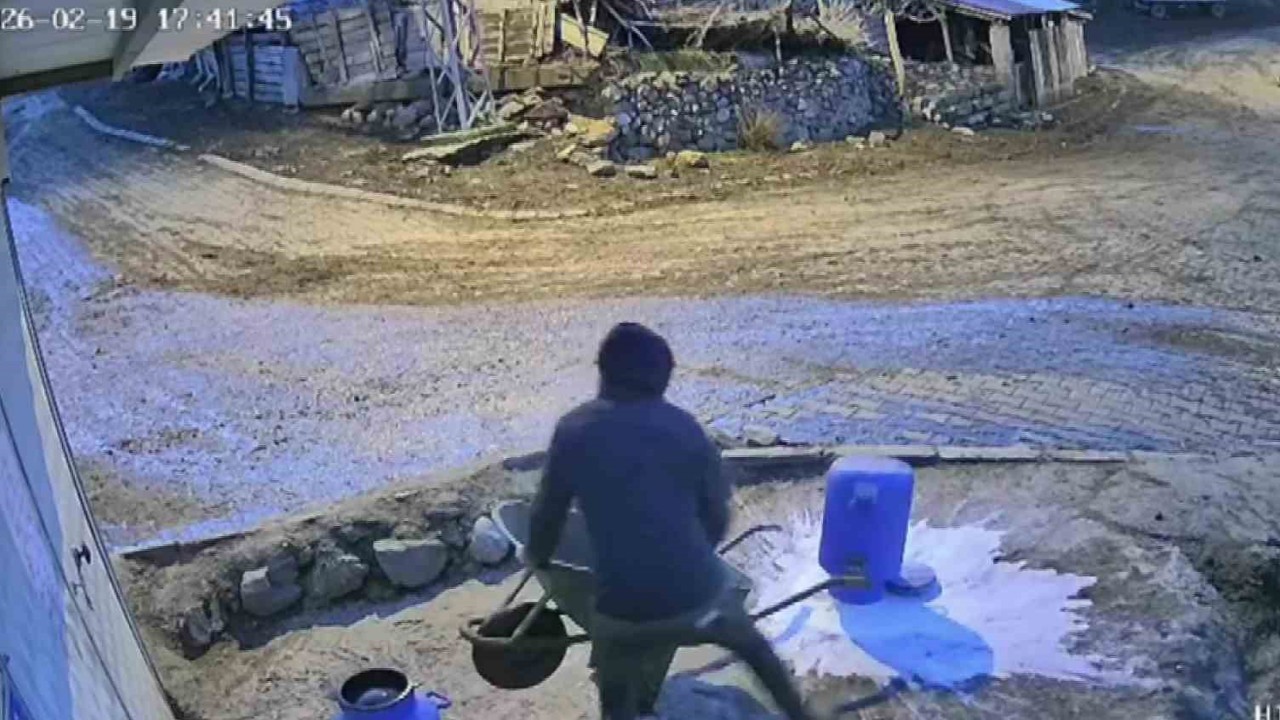 Bir bidon sütü deviren gencin çaresiz anları kamerada
