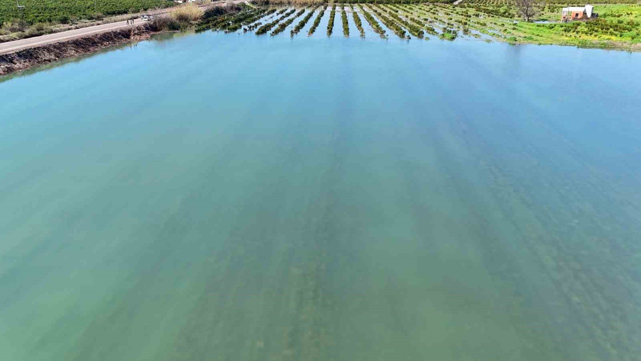 Adana’da sel suları tarım arazilerini sular altında bıraktı
