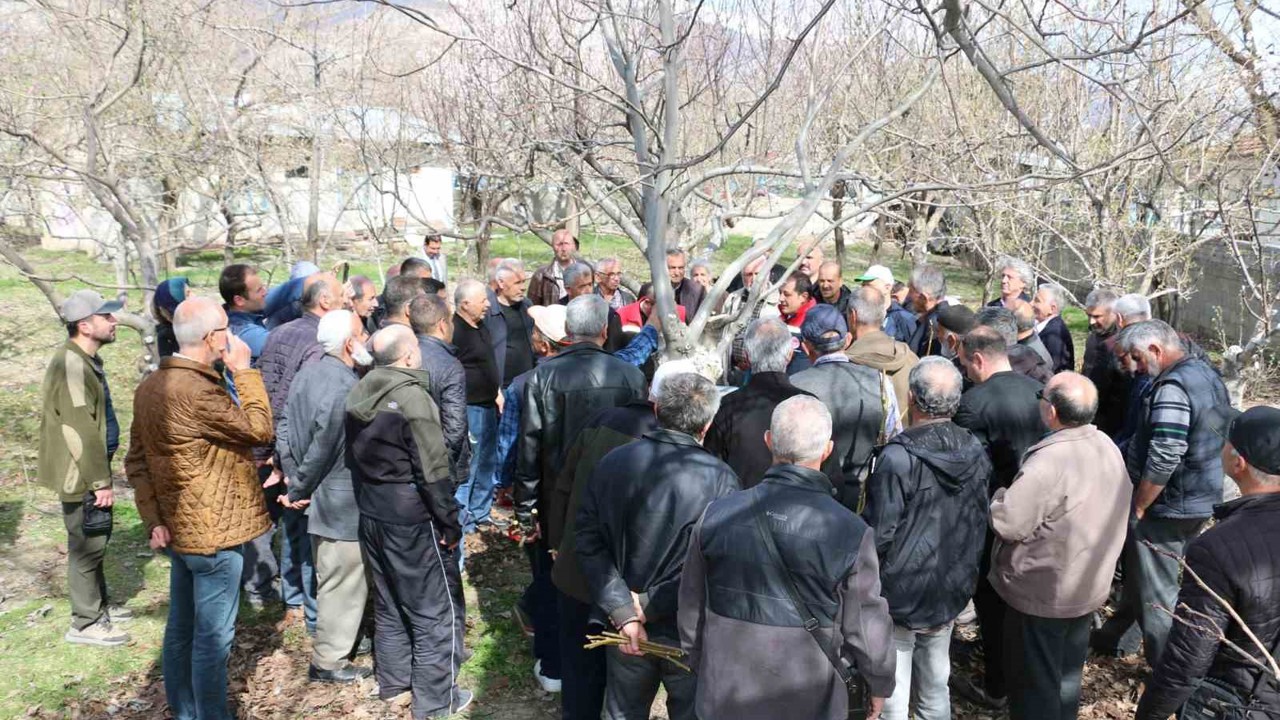 Erzincan’da meyve ağaçlarında budama eğitimi düzenlenecek
