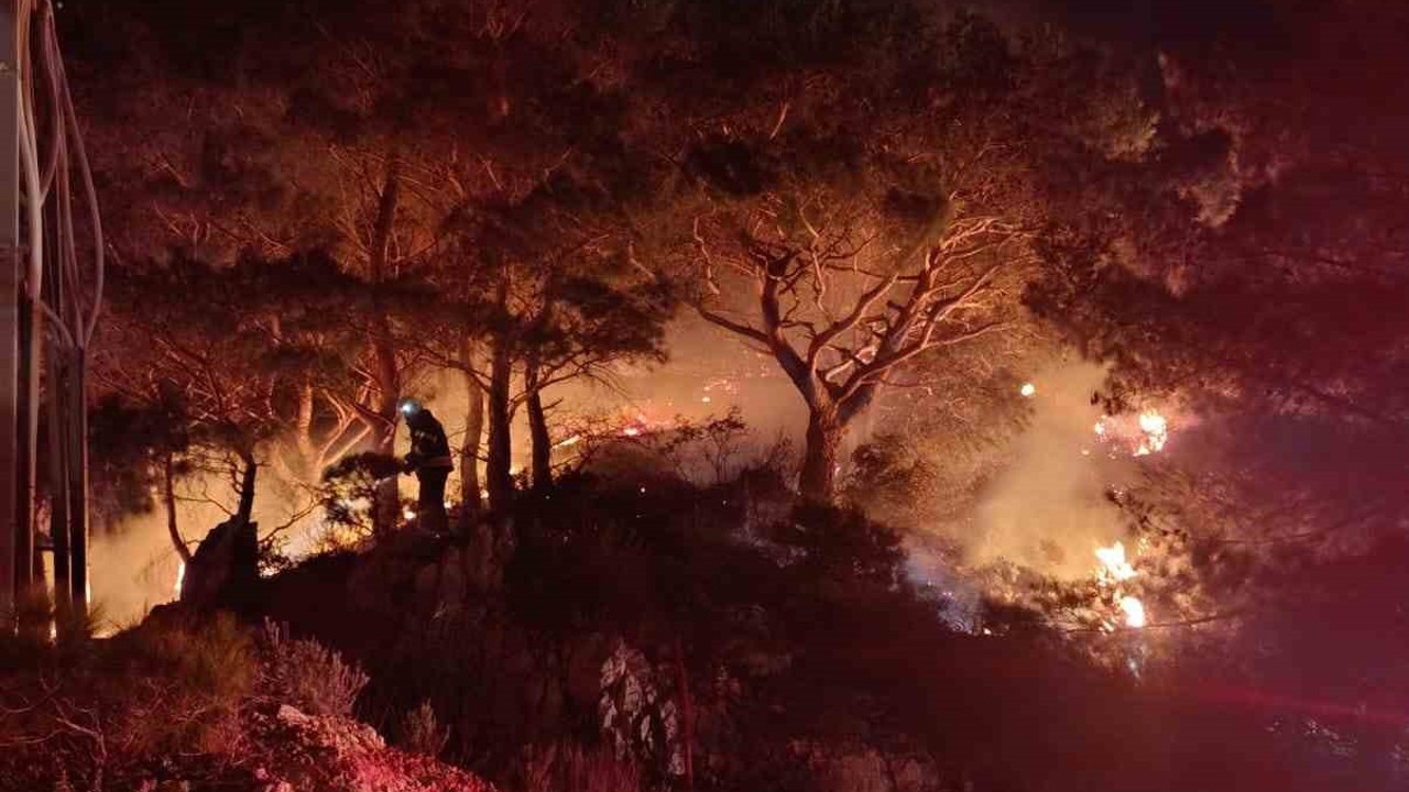 Bodrum’da ormanlık alanda yangın: 2 dönüm alan zarar gördü
