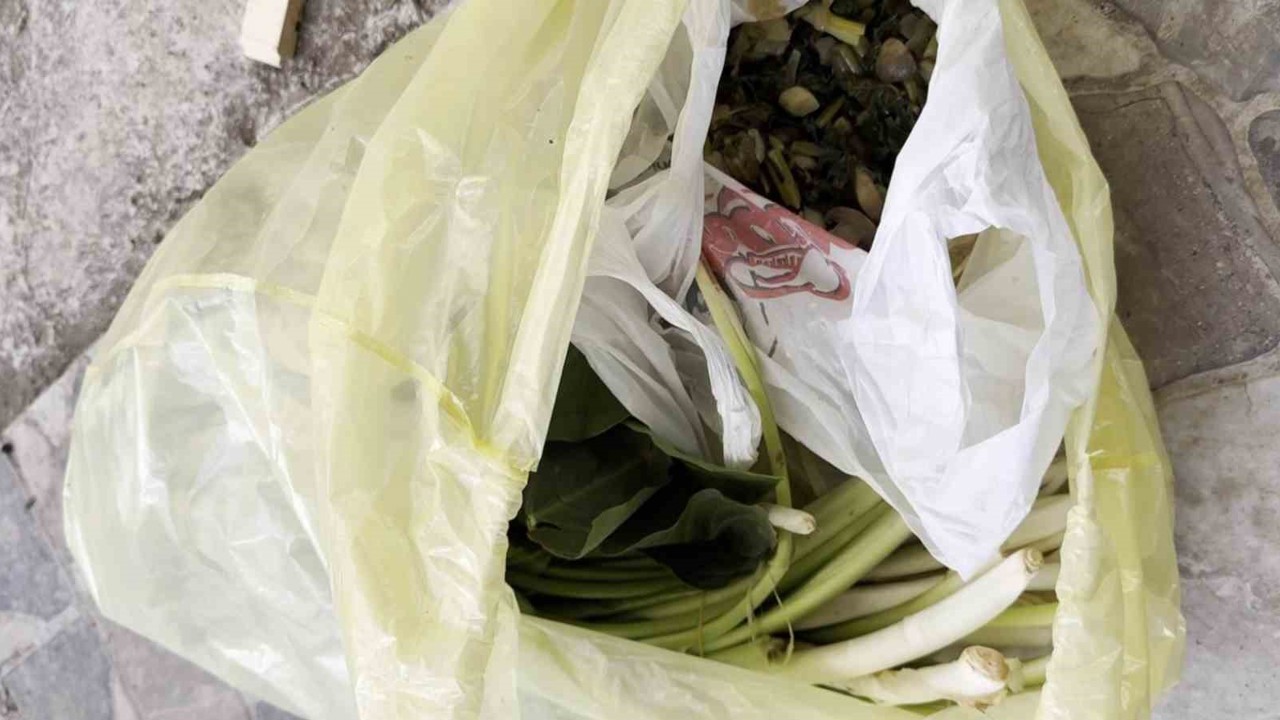 Doktor çiftin zor anları, ağzına alır almaz fenalaştı: "Pazı olarak aldığım ot, tirşik otu çıktı"
