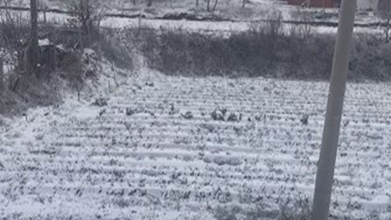 Aydın’ın yüksekleri beyaza büründü
