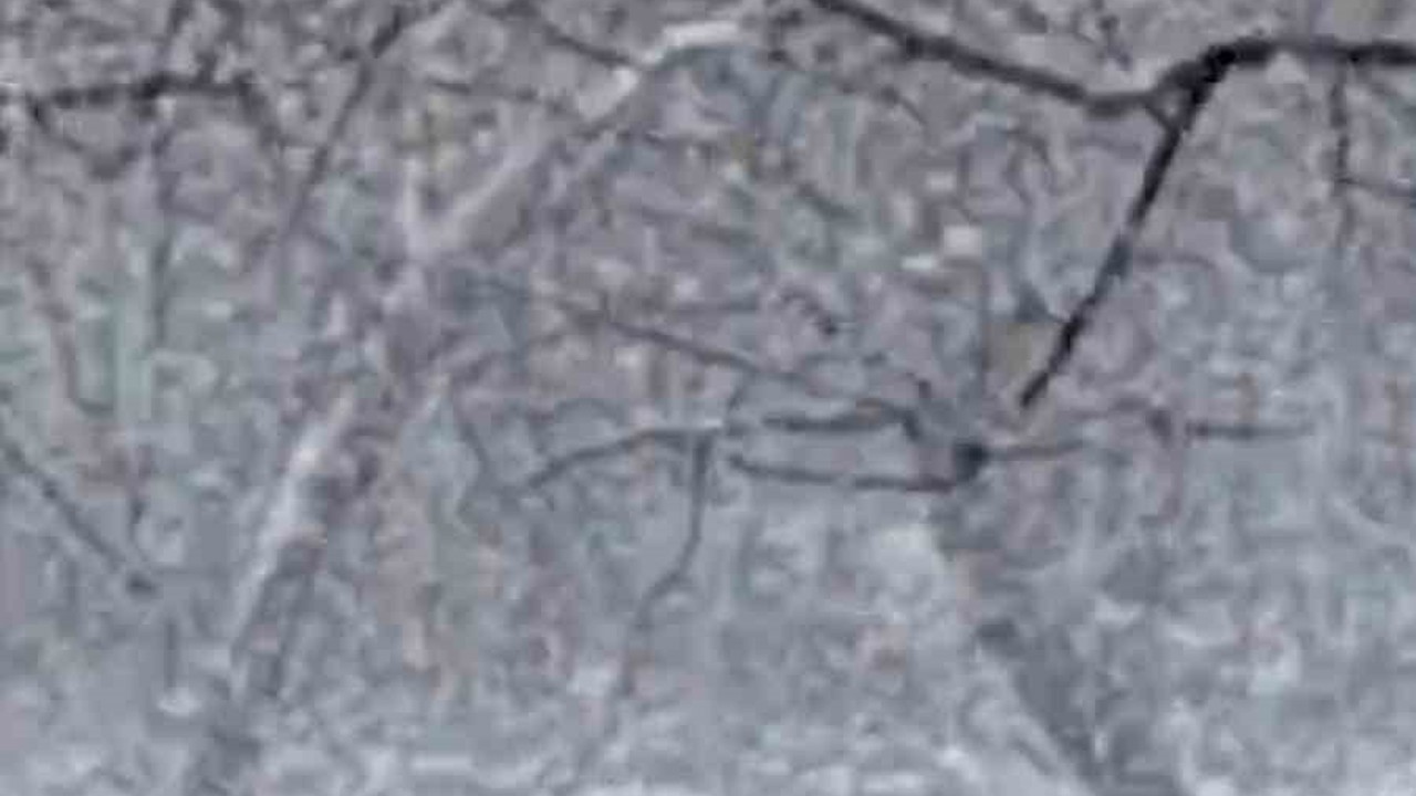 Mudurnu’da lapa lapa kar yağışı etkili oldu
