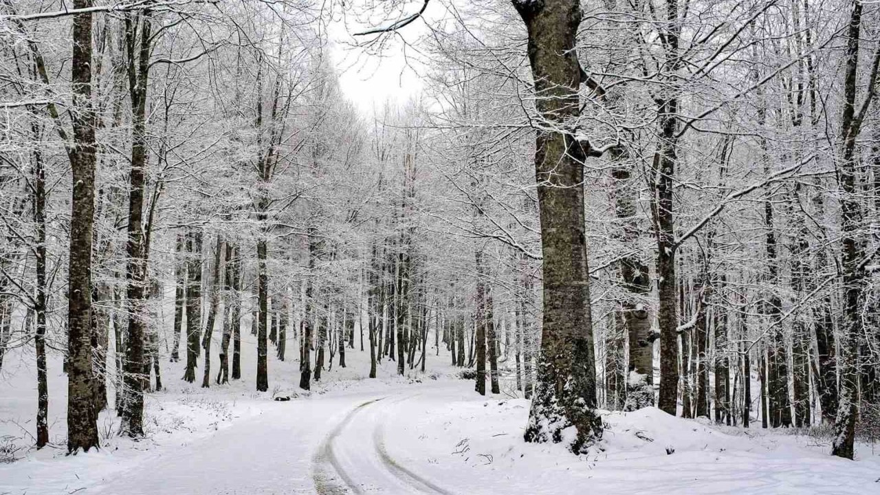Ordu’nun 15 ilçesinde eğitime kar engeli
