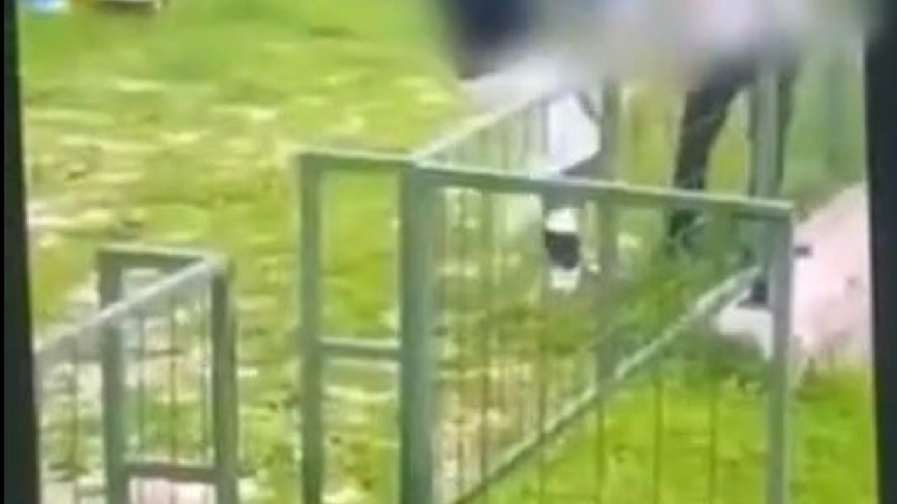 Bodrum’da akran zorbalığı: Çocuğu feci şekilde darbederek bayılttı
