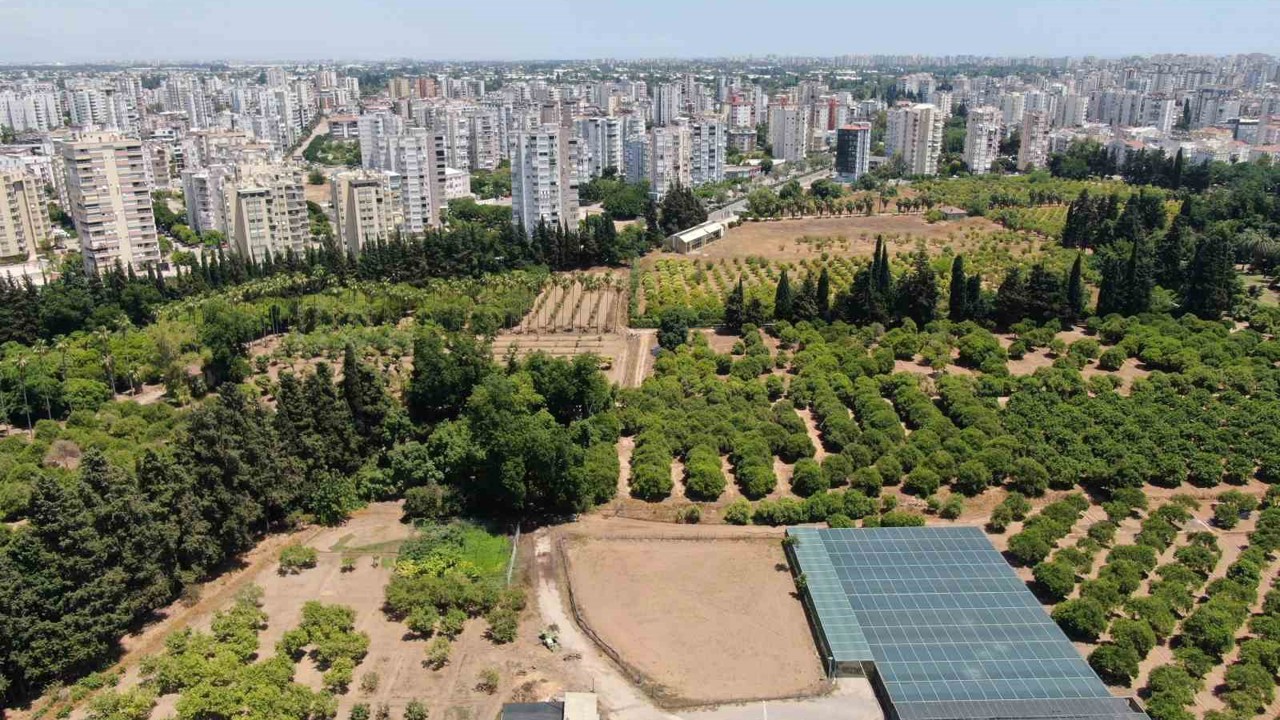 Türkiye son 20 yılda, Antalya’dan büyük tarım alanını kaybetti
